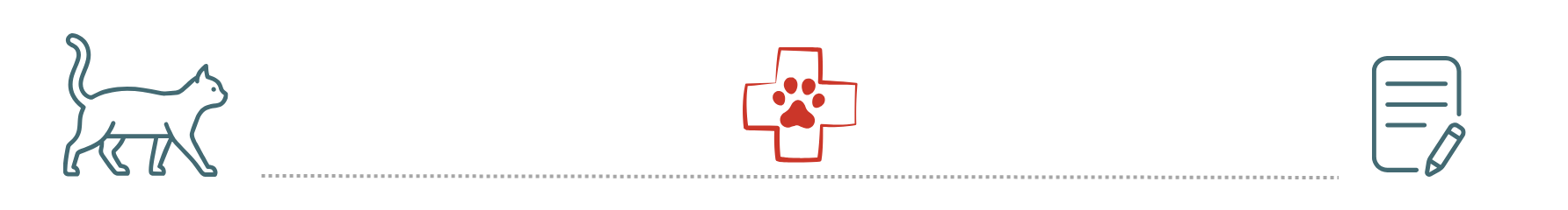 Veterinary Team Supporting Pet Owners pet insurance support Wilderness Trace Veterinary Clinic Junction City KY veterinary team