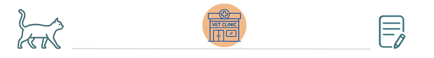 Veterinary Team Supporting Pet Owners pet insurance support Wilderness Trace Veterinary Clinic Junction City KY veterinary team