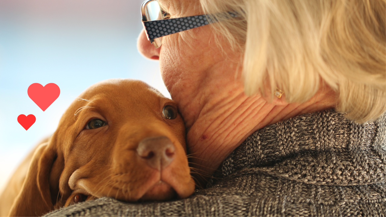 New puppy bonding being held by an owner with bonding support from Wilderness Trace Veterinary Clinic